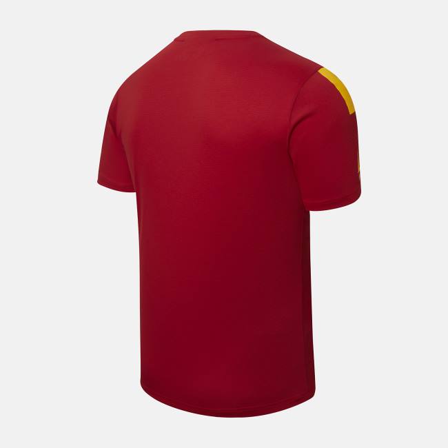 Tricouri Barbati New Balance AS Roma Pre-Game Jersey Rosii | NB610PEK