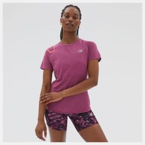 Tricouri Dama New Balance Printed Impact Run Scurte Sleeve Roz | NB178OZK